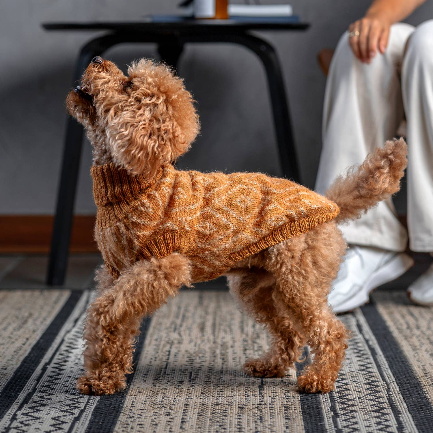 Golden Ochre – Alpaca Hundegenser — bilde 1