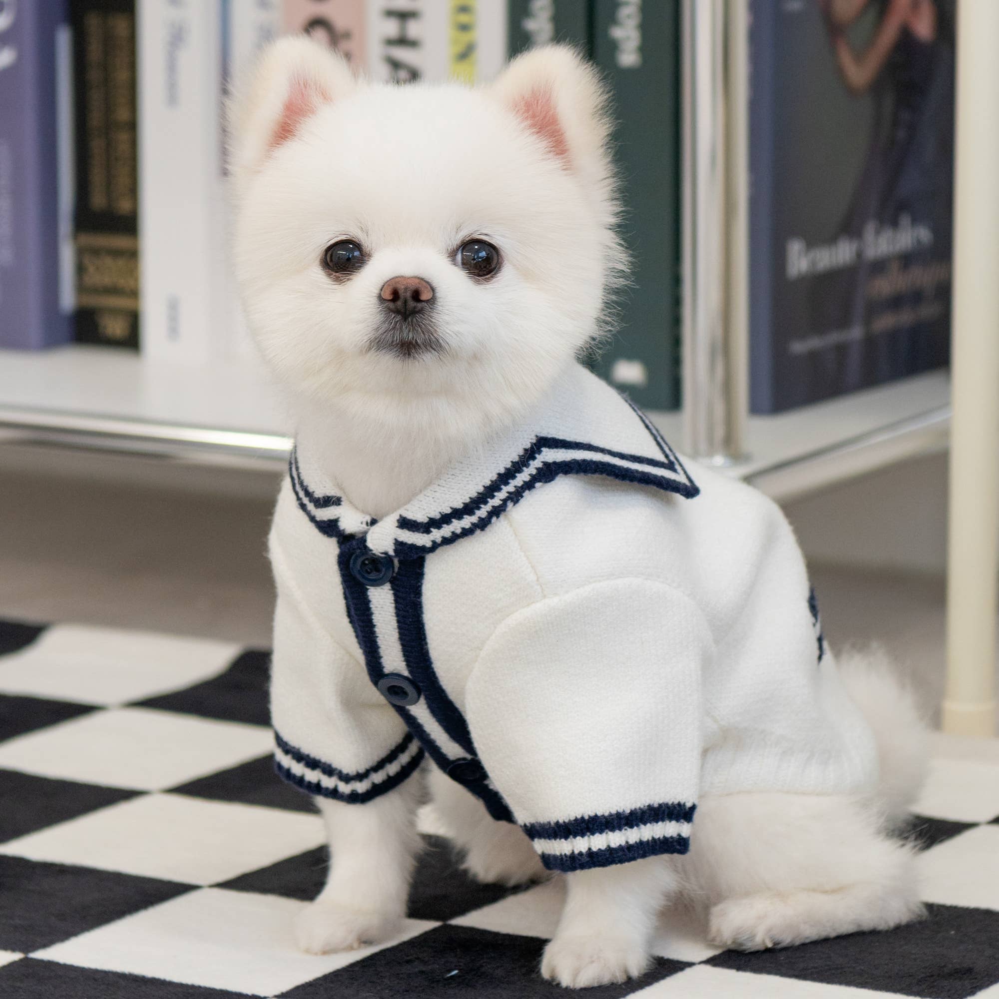 Marine Strikkecardigan for hund — bilde 1