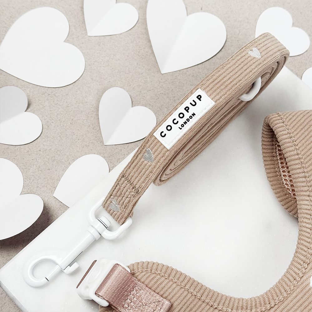 Chai Hearts - Hundebånd — bilde 1