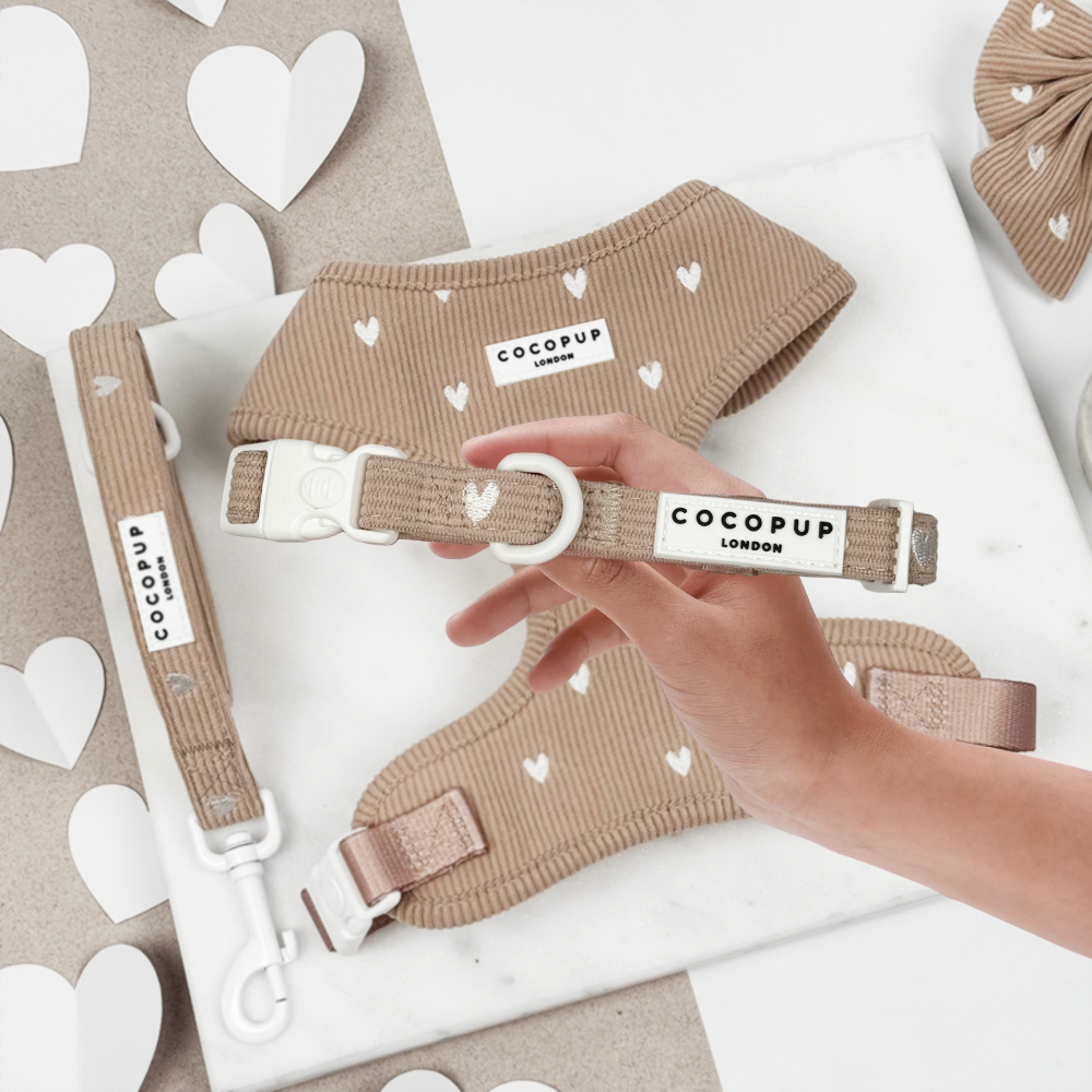 Chai Hearts – Hundehalsbånd — bilde 1