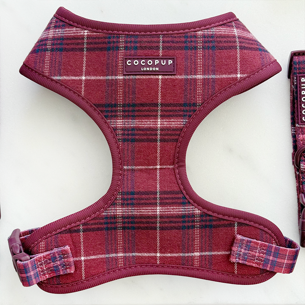 Mulberry Plaid - Justerbar hundesele — bilde 1