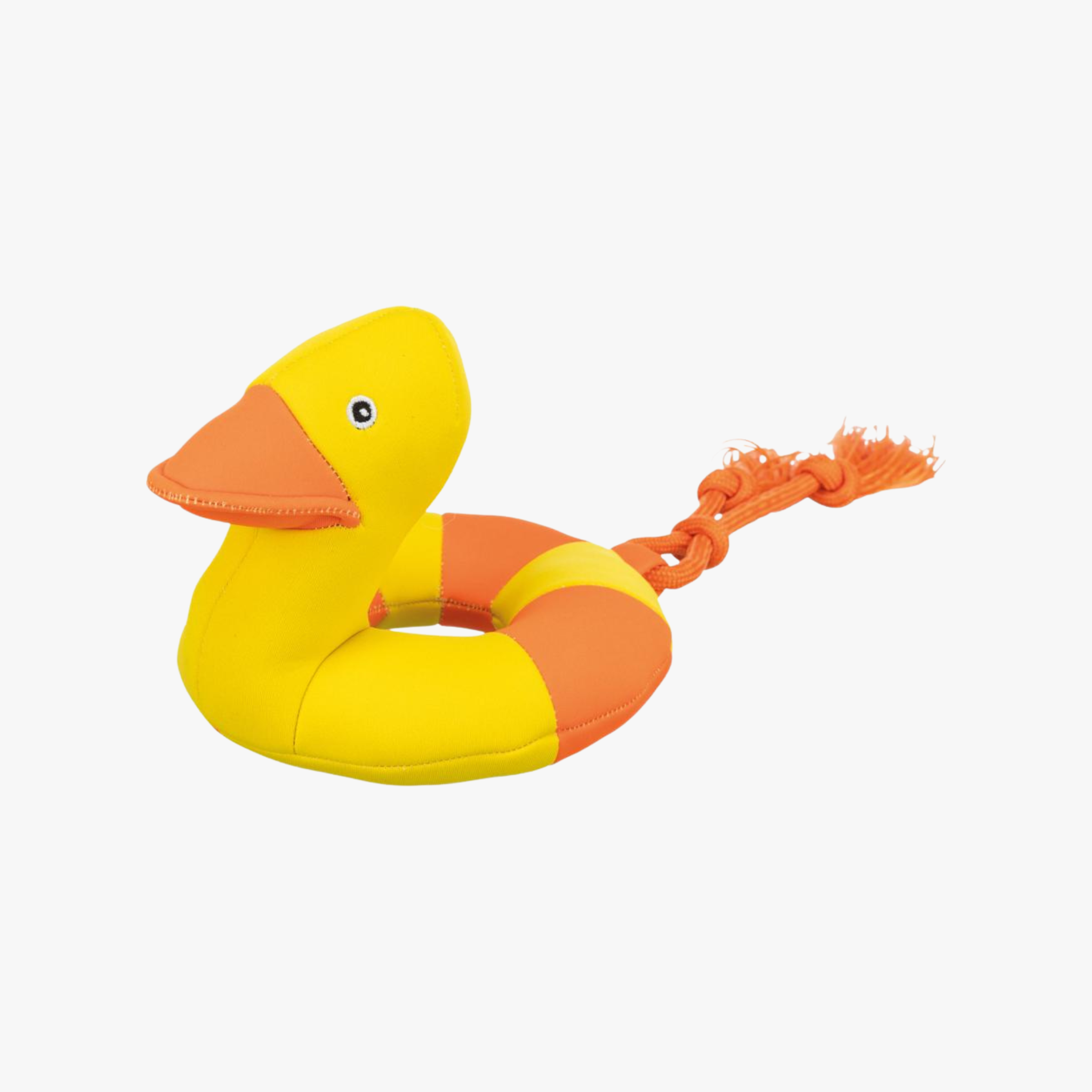 Aqua And – Flytende hundeleke med pipelyd — bilde 1