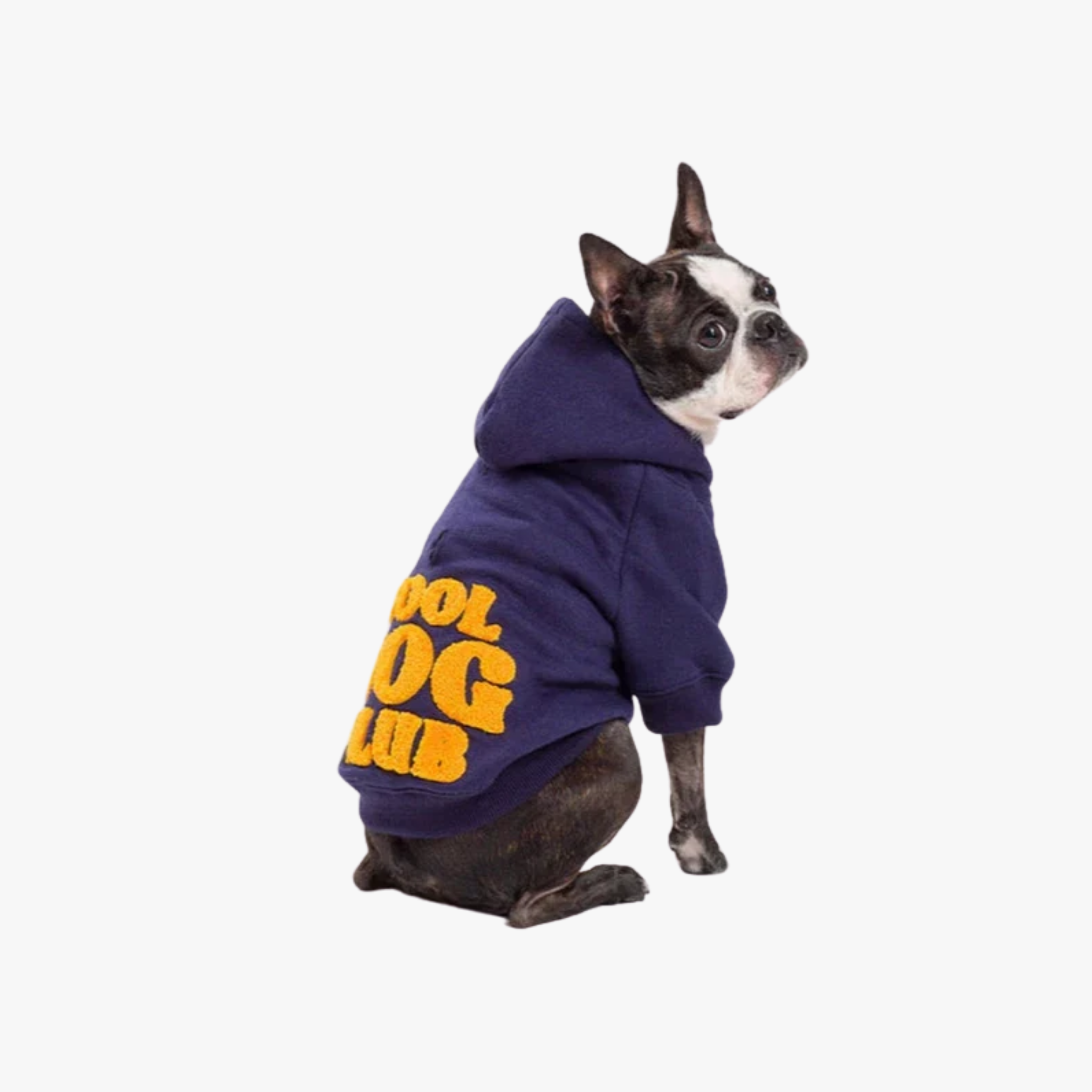 COOL DOG CLUB marineblå hettegenser m/brodering — bilde 1