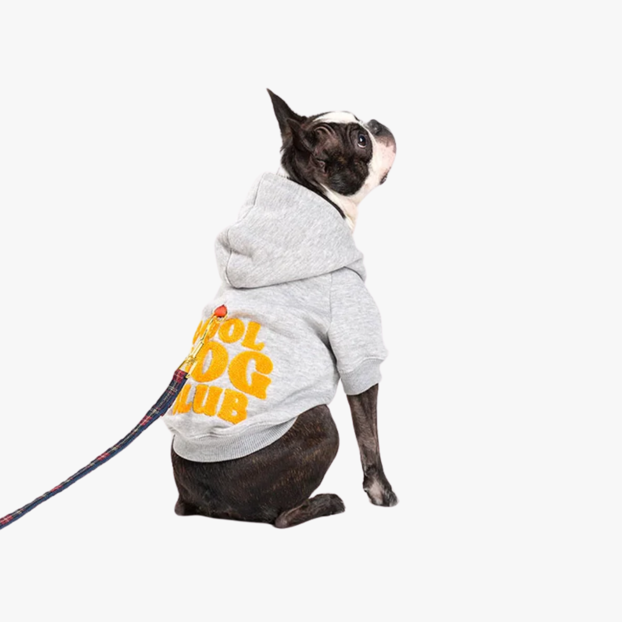 COOL DOG CLUB grå hettegenser m/brodering — bilde 1