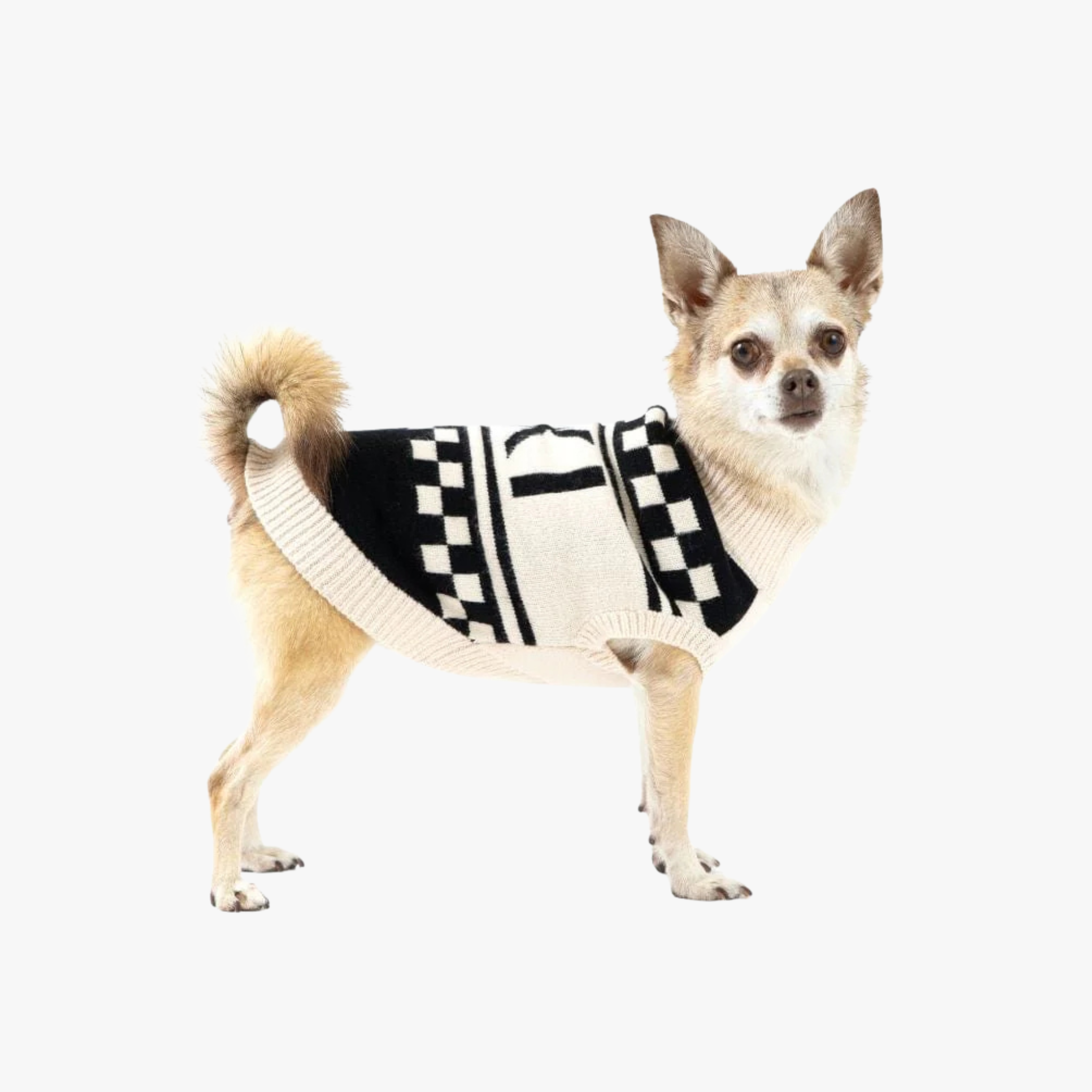 Fab Ski - Hundegenser Mini Check — bilde 1