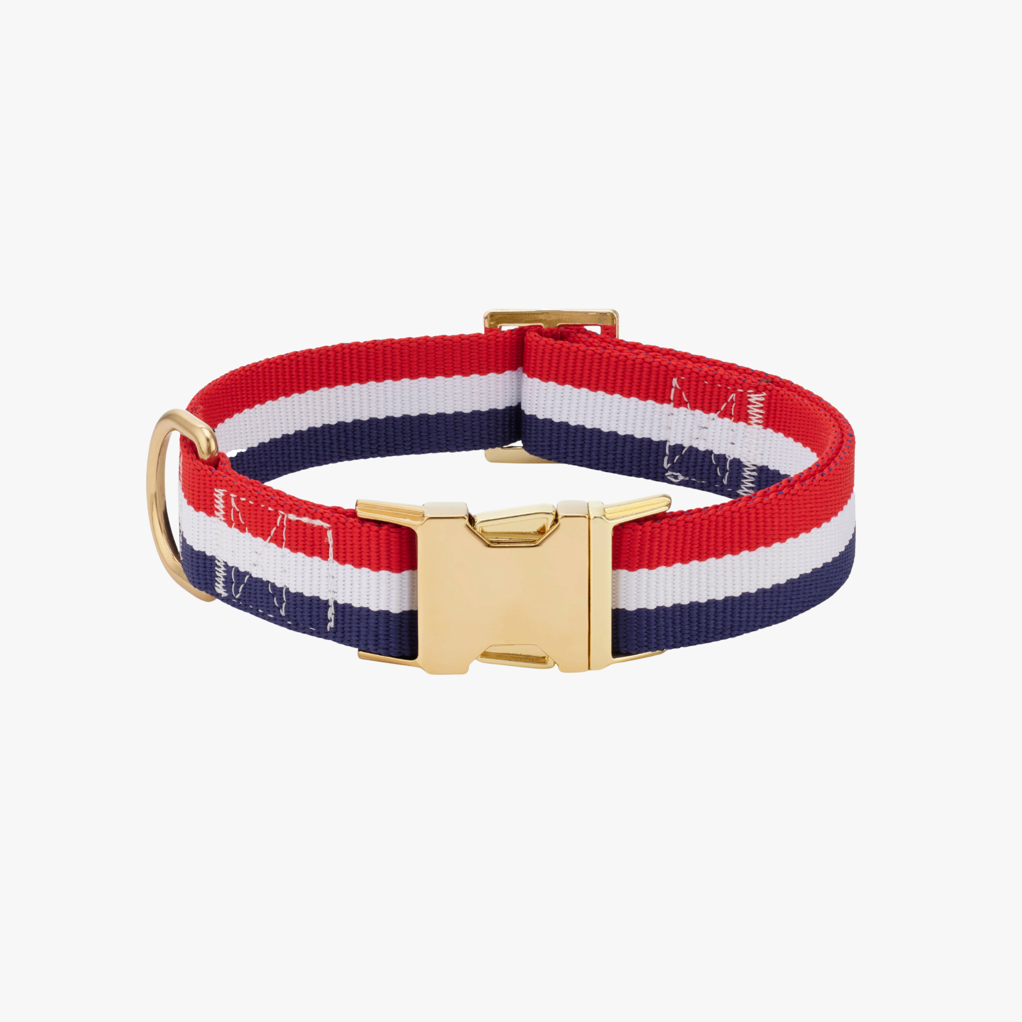 Newport Striped - Hundehalsbånd — bilde 1