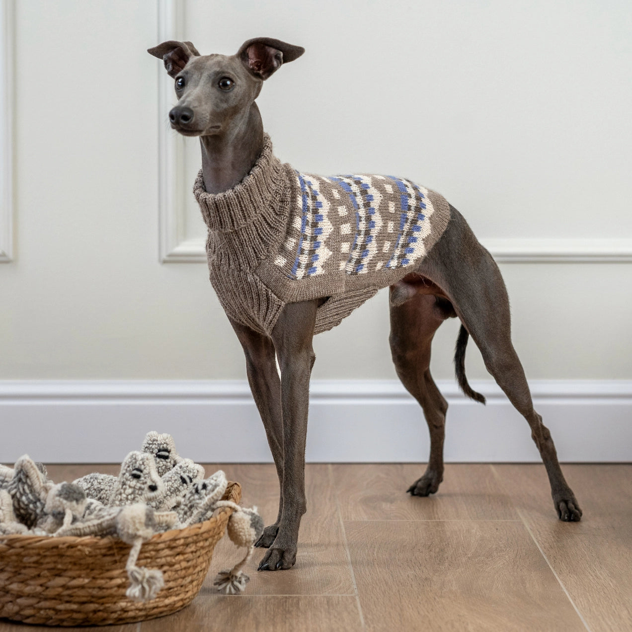 Oasis – Alpaca Hundegenser — bilde 1
