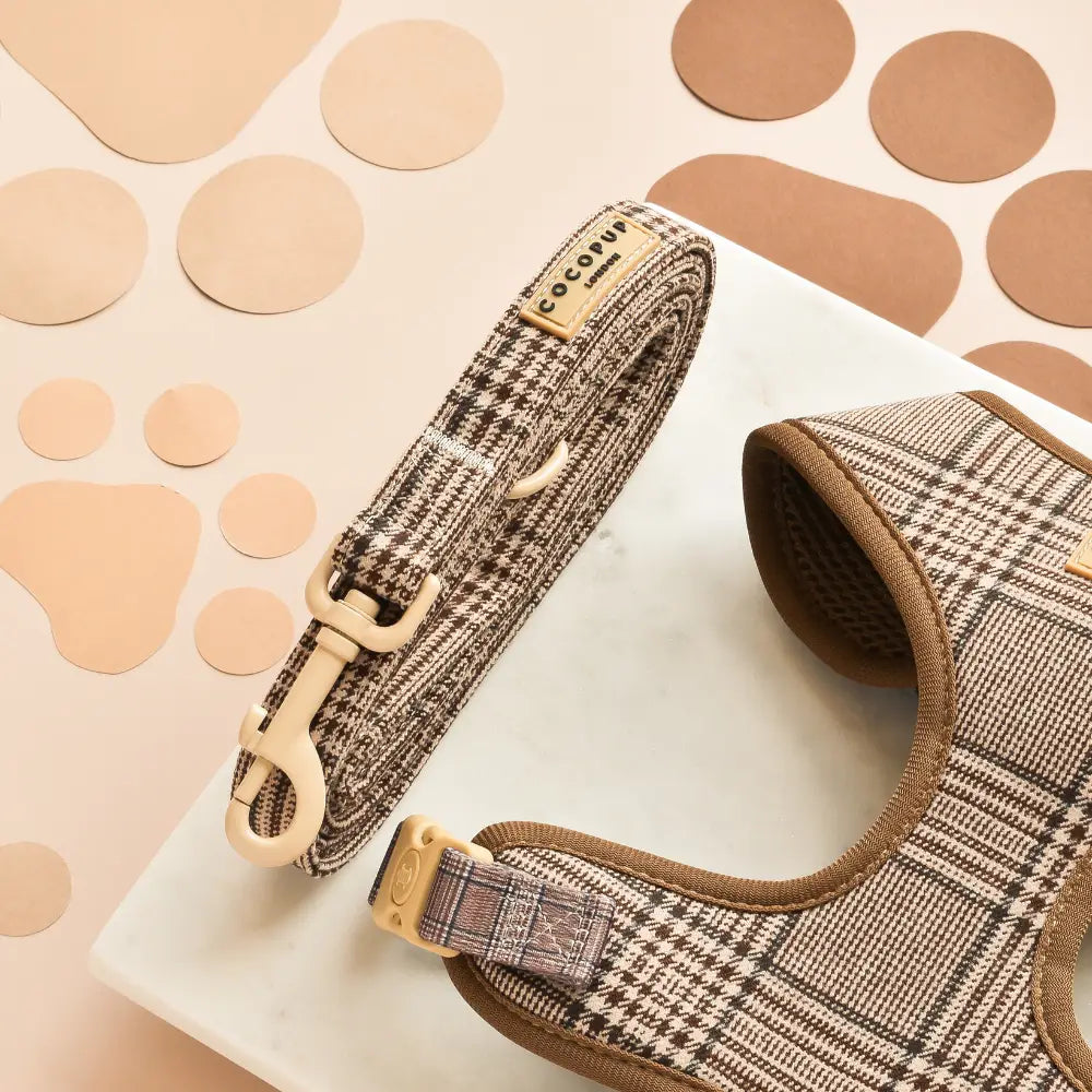 Pup Plaid - Hundekobbel i Rutemønster, 152 cm — bilde 1