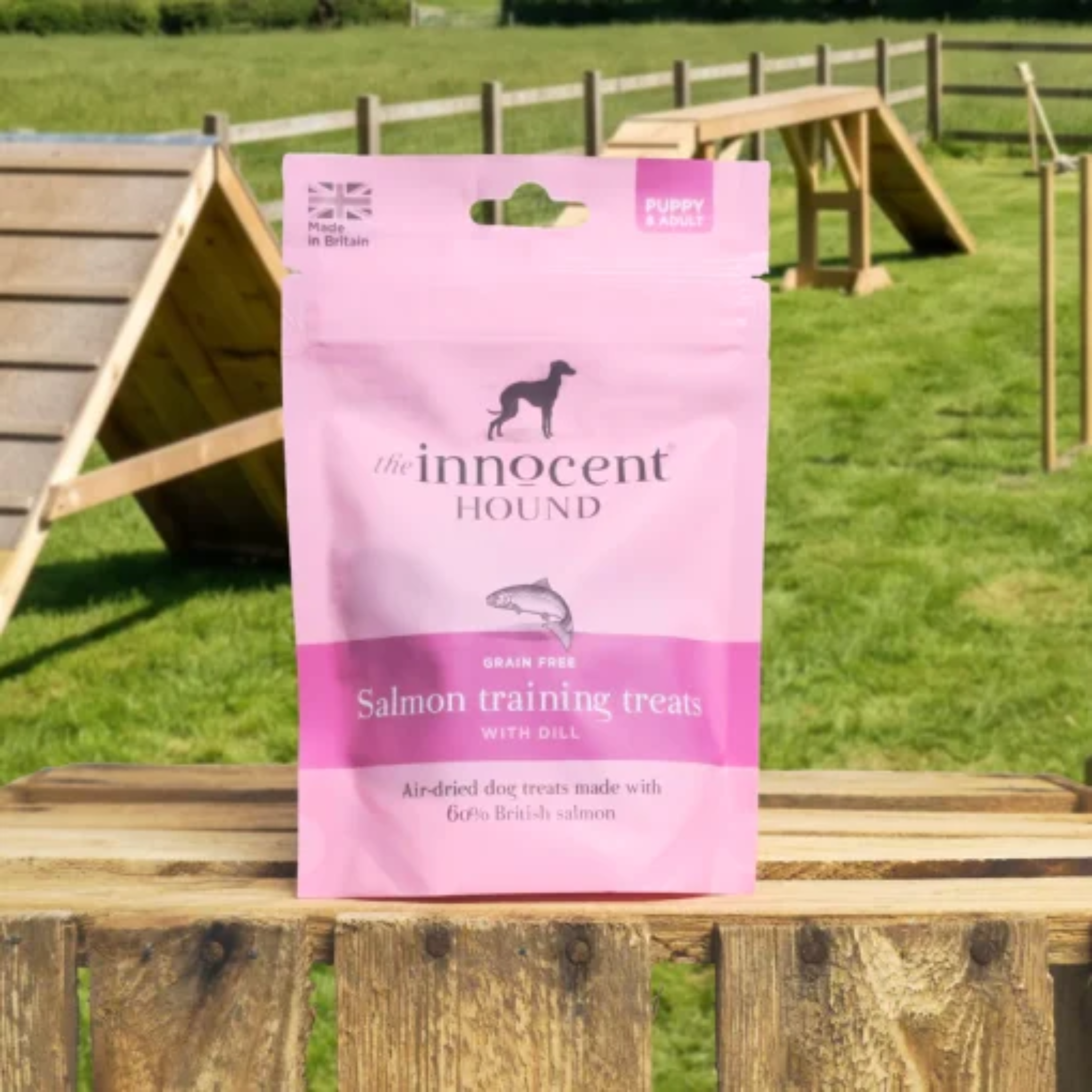 Salmon training treats - Godbiter | 70g — bilde 1