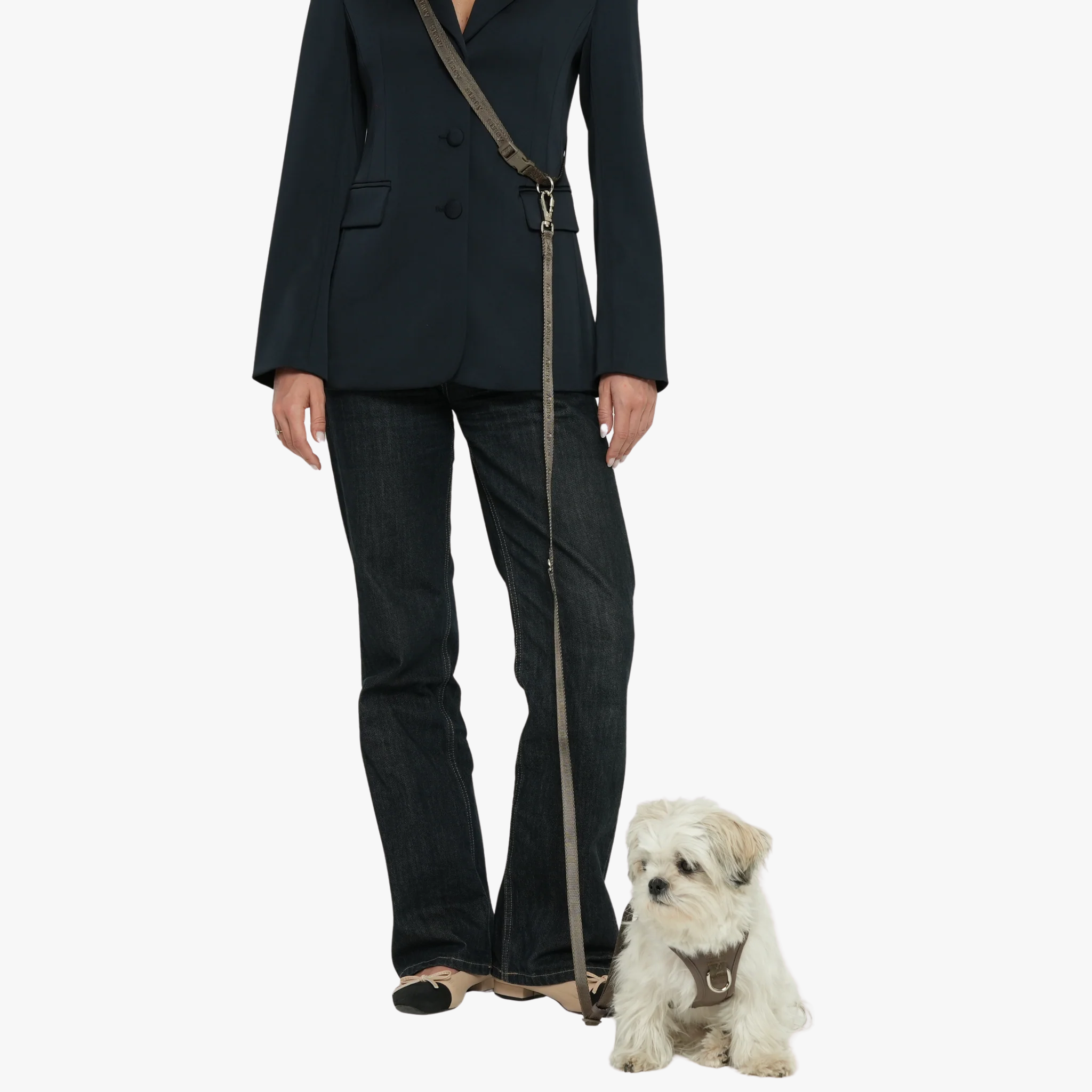 Hands-Free Dog Leash - Håndfritt hundekobbel | Taupe — bilde 1