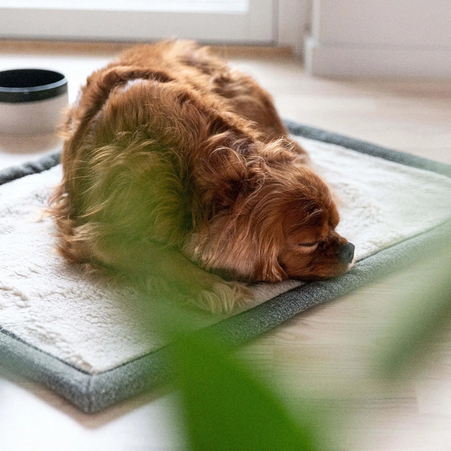 Snuggle Dark Green - Reiseteppe — bilde 1
