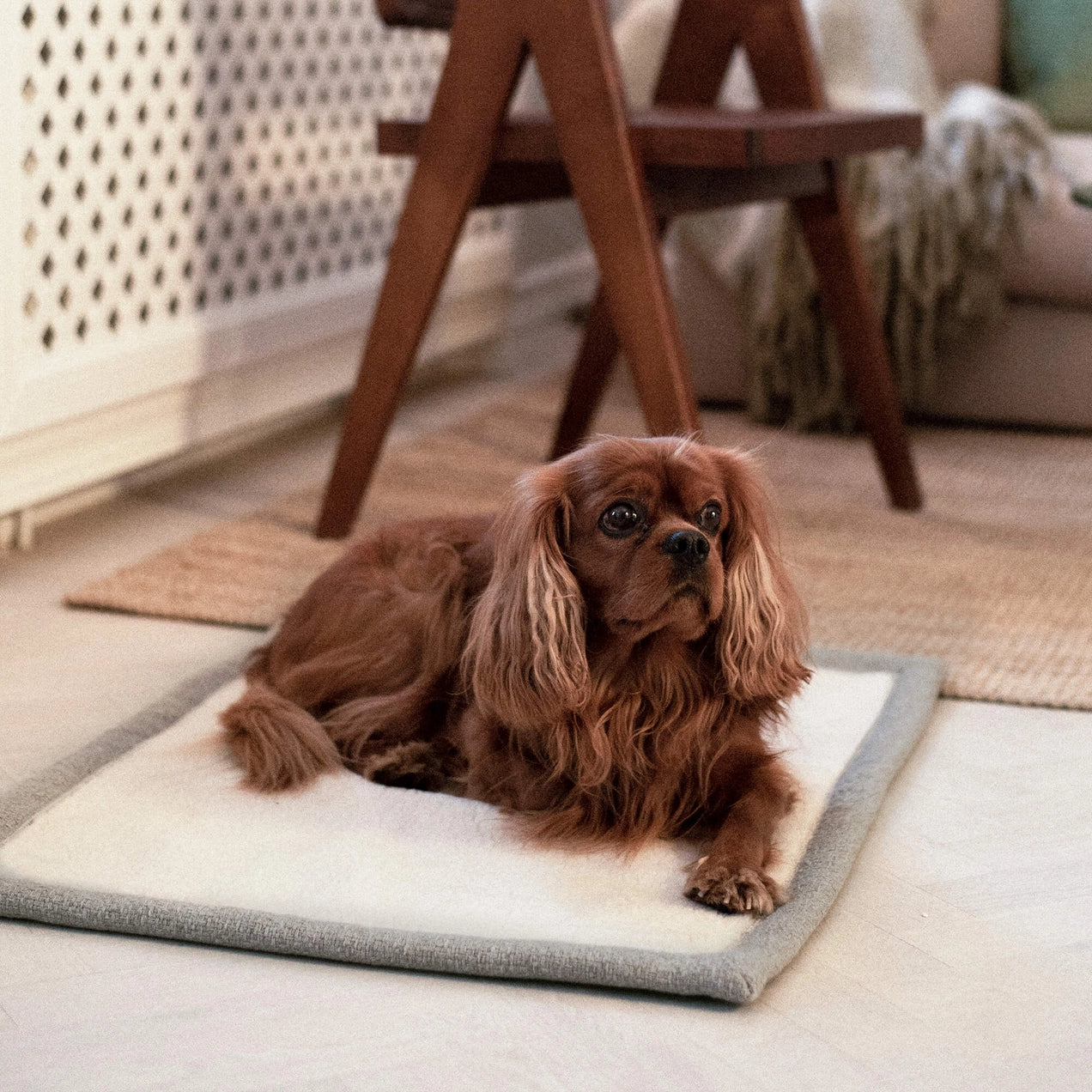 Snuggle Sand Beige - Reiseteppe — bilde 1