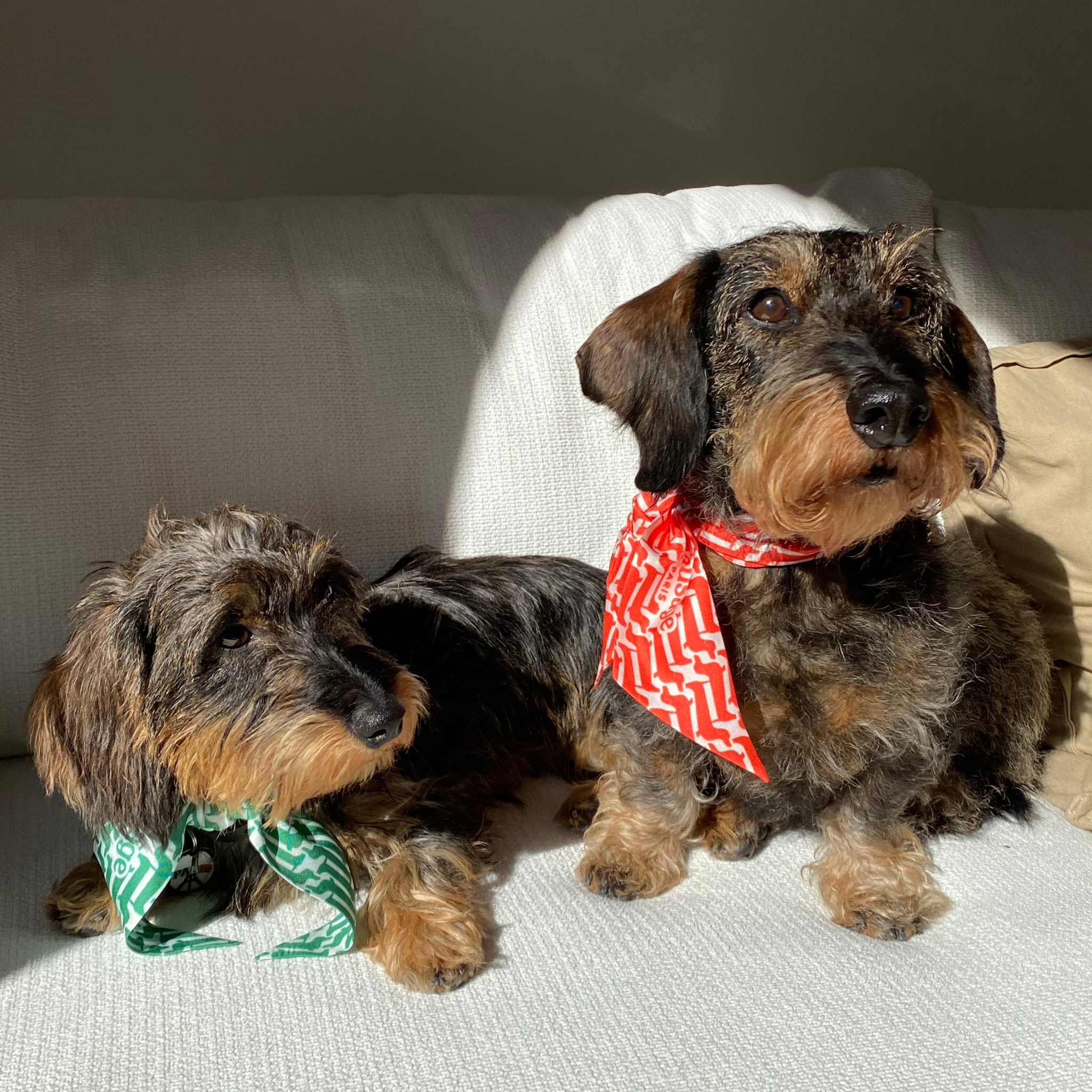Sausage Paris – "Marcel" Twilly i 100 % silke — bilde 1