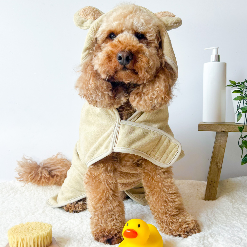 Teddy - Badekåpe til hund — bilde 1