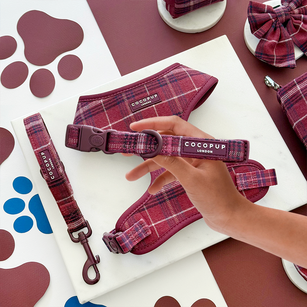 Mulberry Plaid - Hundehalsbånd — bilde 1