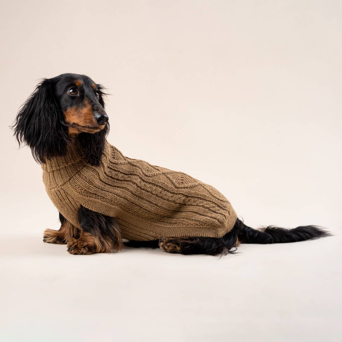 Camel Aran – Hundegenser med alpakka ull — bilde 1