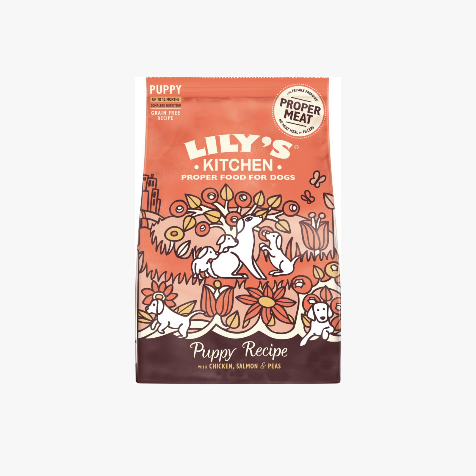 Lily’s Kitchen Puppy Recipe – Tørrfôr for valper med kylling og laks — bilde 1