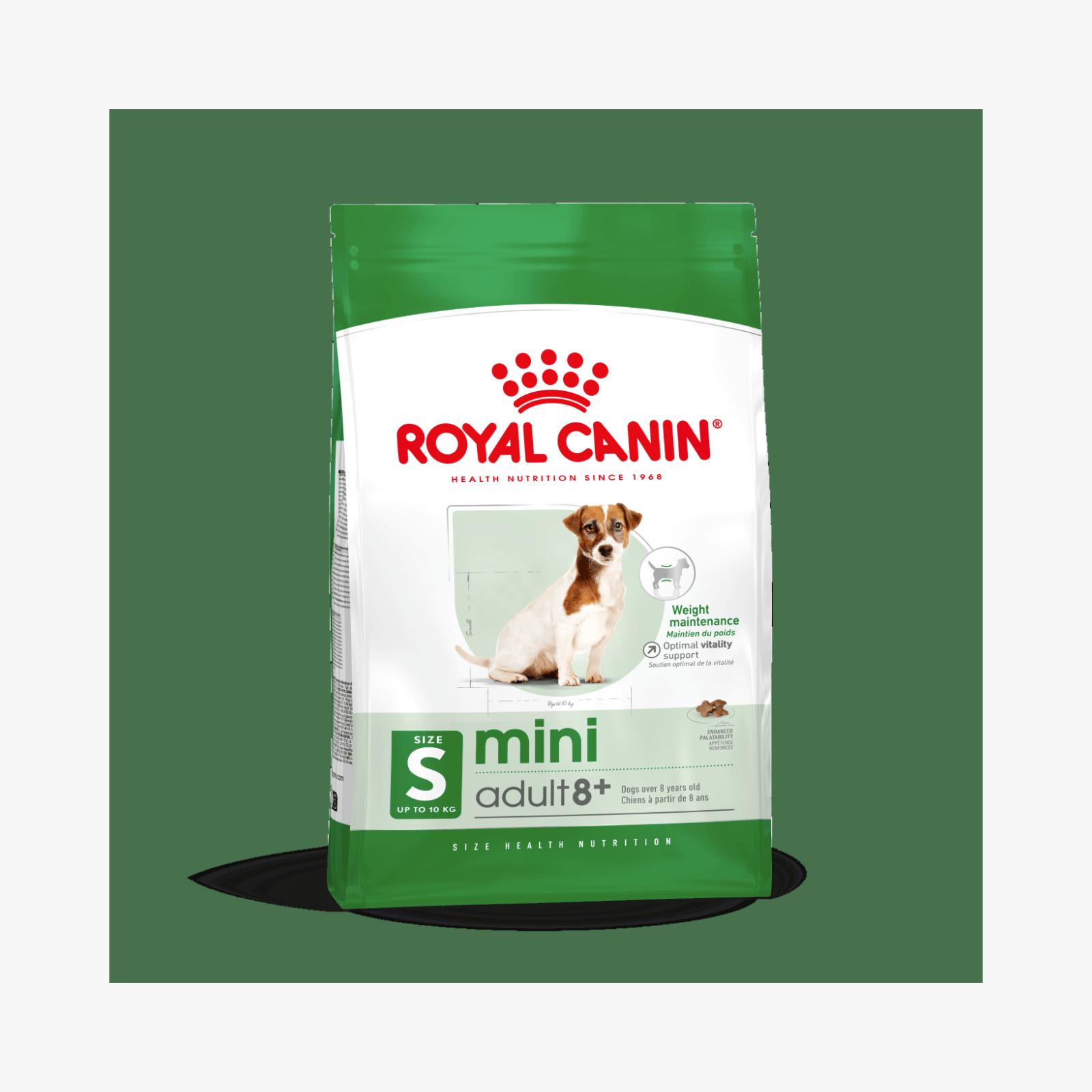 Royal Canin Mini Adult 8+ – Hundemat for eldre små hunder (8+ år) — bilde 1