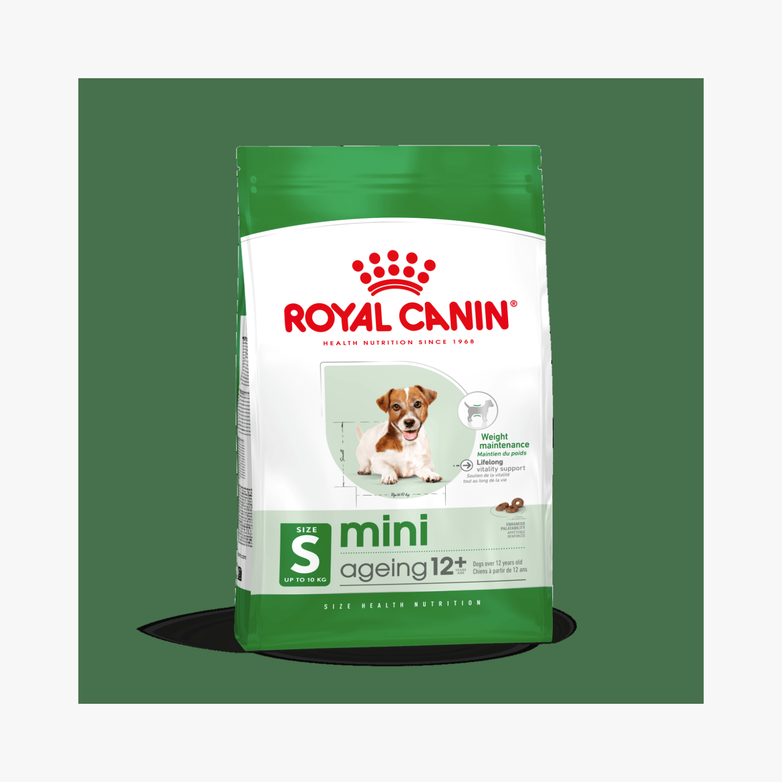 Royal Canin Mini Ageing 12+ – Hundemat for eldre små hunder (12+ år) — bilde 1