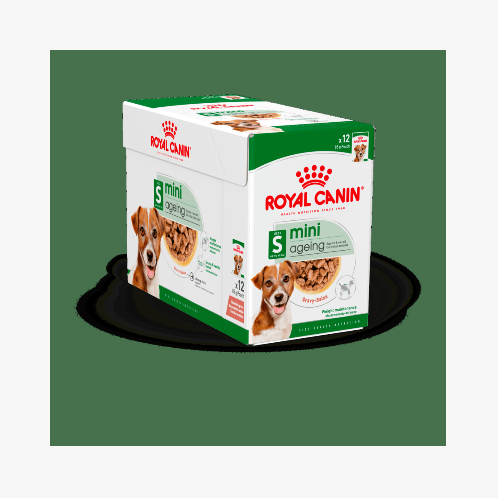 Royal Canin Mini Ageing Gravy – Våtfôr for eldre små hunder | 12x85g — bilde 1