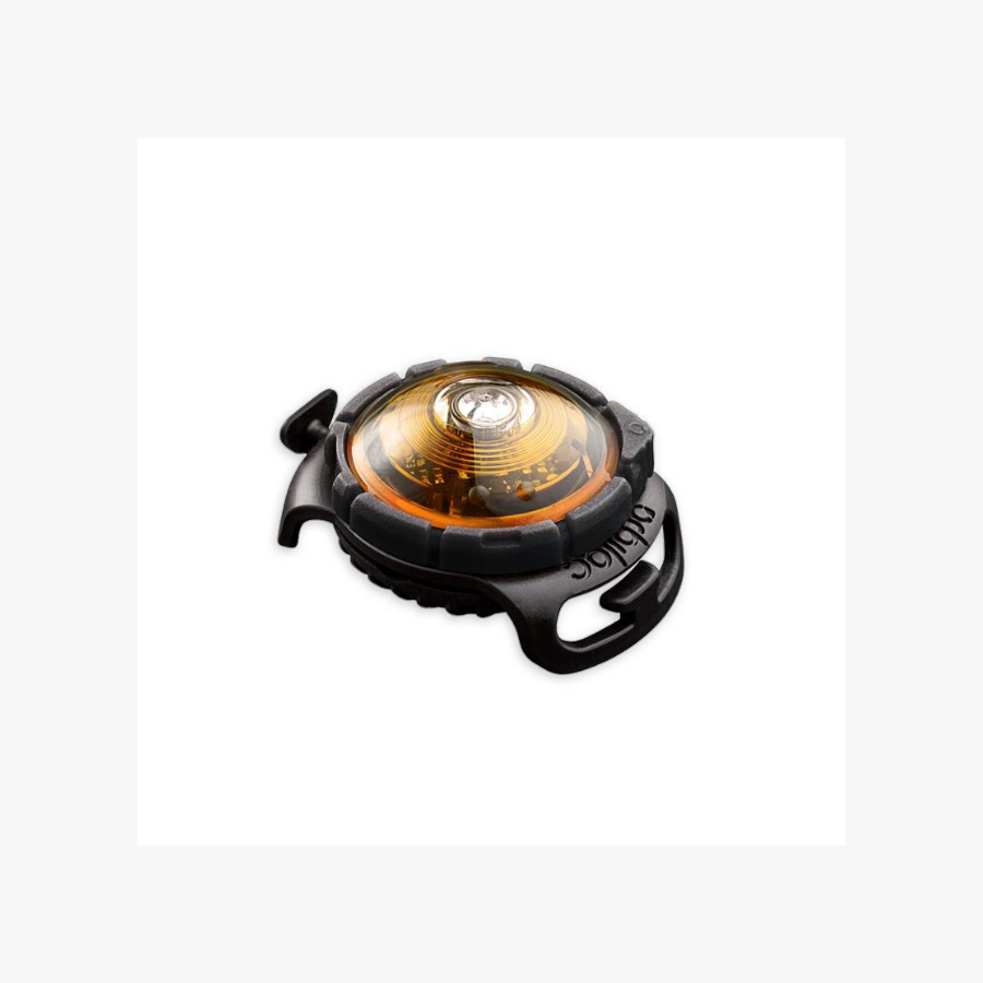 Safety light Dog Dual m/batteri - Gul — bilde 1