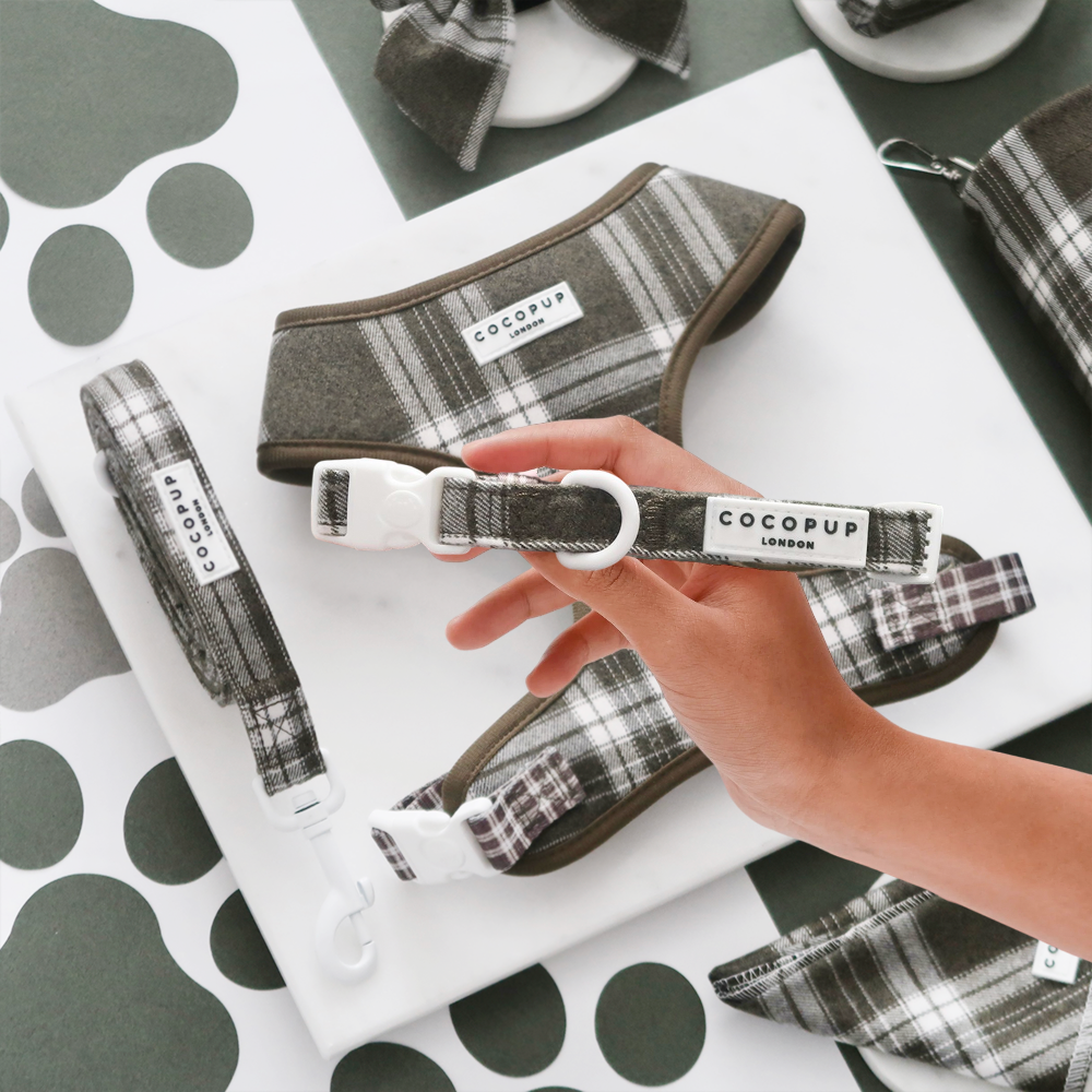 Olive Check – Hundehalsbånd | XS — bilde 1